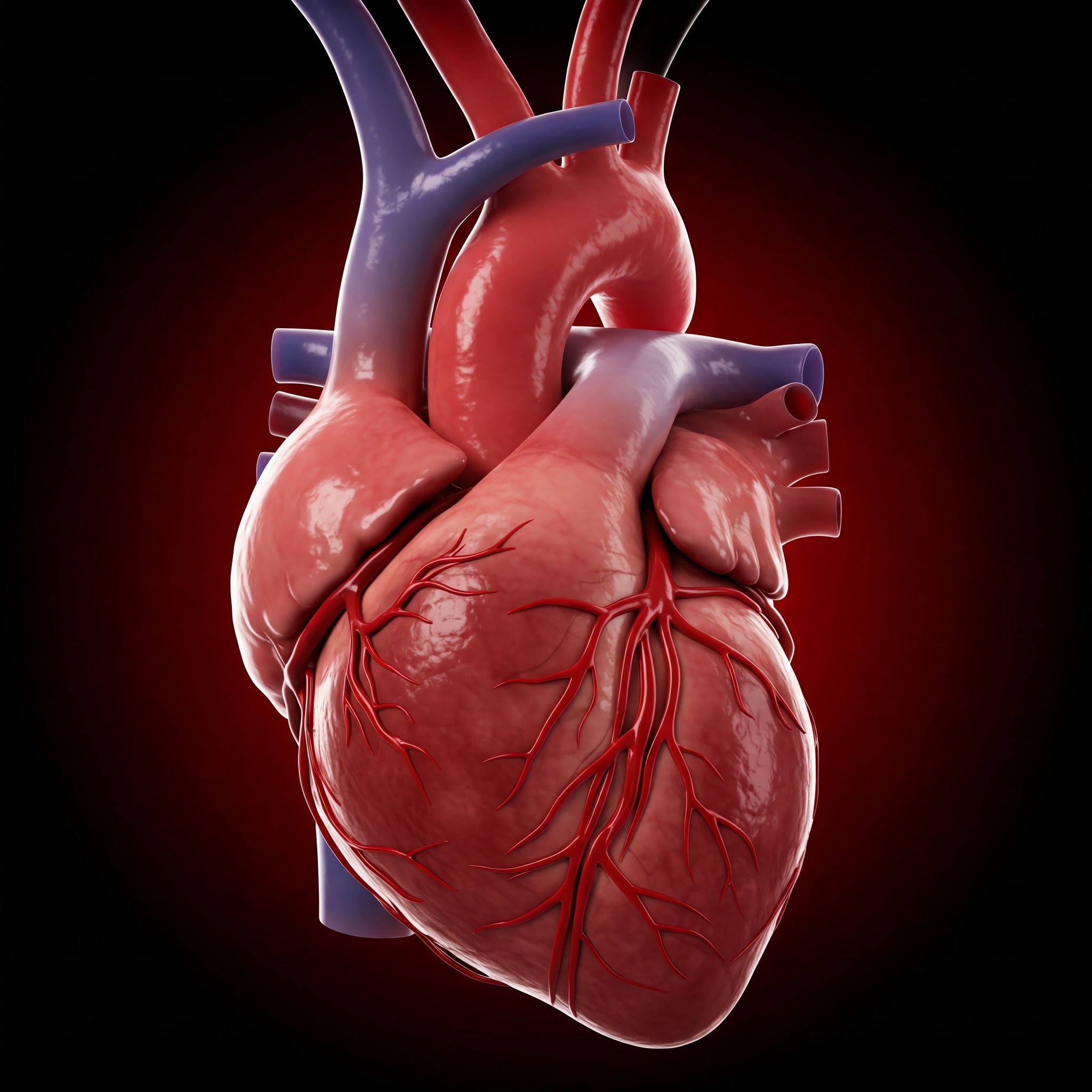 Atherosclerosis diet: Unblocking your arteries through nutrition